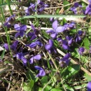 img_1000_1_th