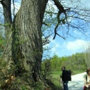img0019_th