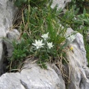 img0012_th
