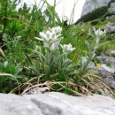 img0013_th