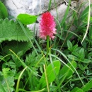 img0016_th
