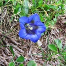 img0019_th
