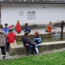 img0014_th