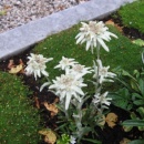 img0019_th