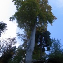 2006-10-02-urslja_gora_013_th