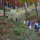 2006-10-02-urslja_gora_017_th