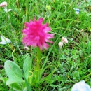 img0004_th