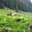 img0018_th