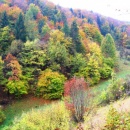 img_6061_th