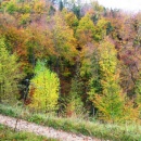 img_6063_th