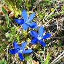 img0032_th