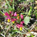 img0033_th