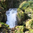 img_7806_th