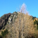 strelovec0003_th
