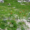 img0053_th
