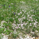 img0054_th