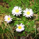 img0063_th