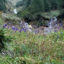 img_0563_th