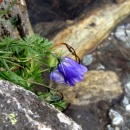img_0585_th