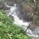 img_7582_th