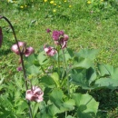 img0246_th