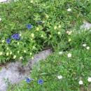 img0265_th