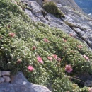 img0284_th