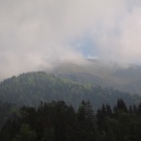 img_7446_th
