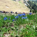 img_7474_th