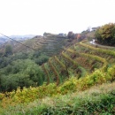 img_1063_th