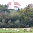 img_1065_th