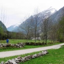 bavica_th