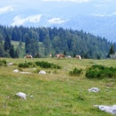 img_8552_th