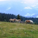 img_8553_th