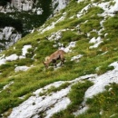 img0116_th