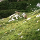 img0117_th