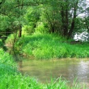 img_7415_th