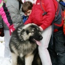 img_1092_th
