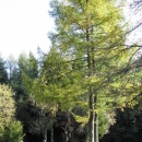 img_1103_th