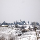 img_8701_th