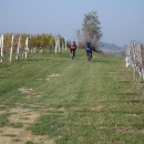 imgp0051