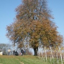 imgp0054