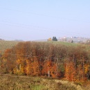 img_1880_1