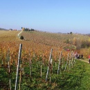 img_1896_1