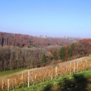 img_1900_1