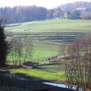 img_1901_1
