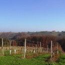 img_1907_1