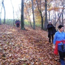 img_1911_1