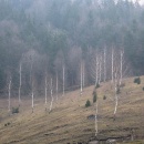 img0012
