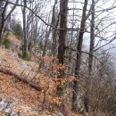 img_0564_1